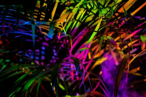 Hình nền neon 83