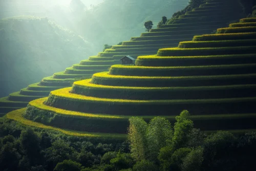 Hình nền ngang 85