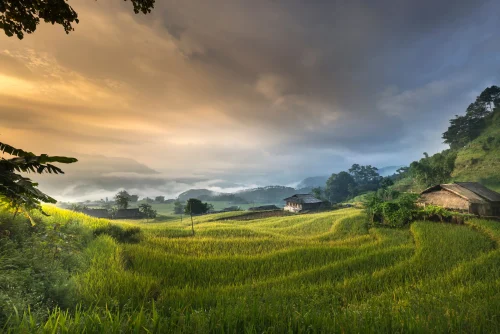 Hình nền ngang 99