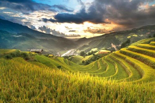 Hình nền ngang 114
