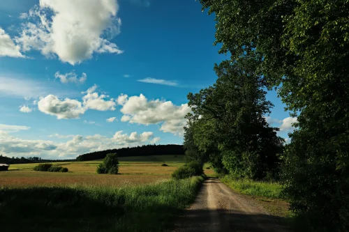 Hình nền ngang 123