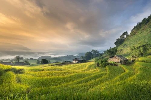 Hình nền ngang 171