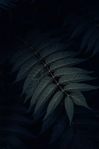 Hình nền ngầu 107