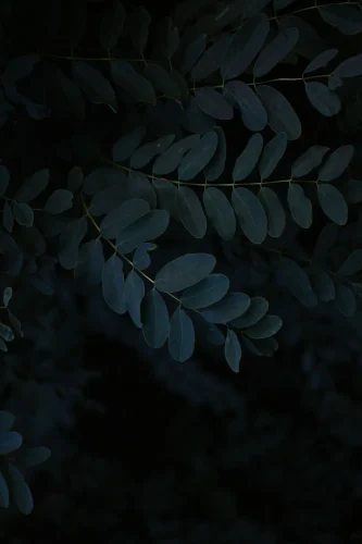 Hình nền ngầu 109