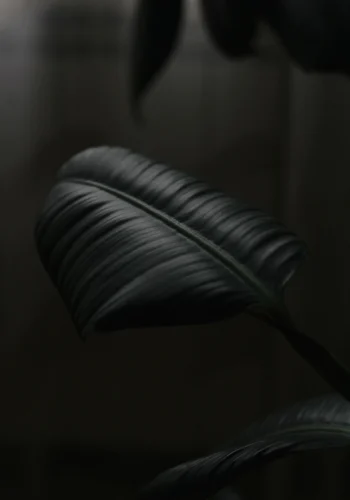 Hình nền ngầu 118