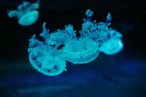 Hình nền ngầu 25