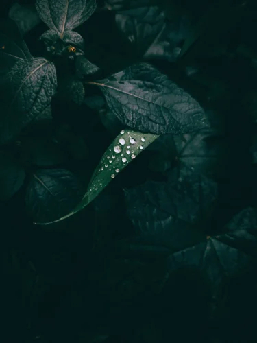 Hình nền ngầu 160