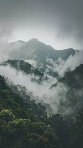 Hình nền núi 59