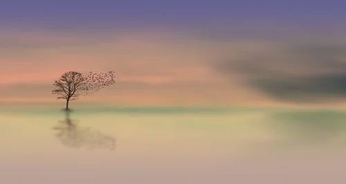 Hình nền pastel 4