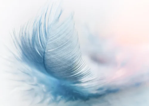 Hình nền pastel 8