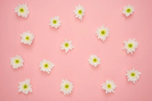 Hình nền pastel 26