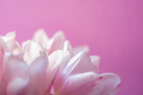 Hình nền pastel 33