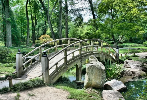 Hình nền phong cảnh 26