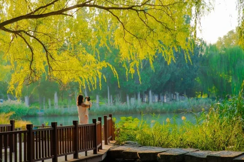 Hình nền phong cảnh 115