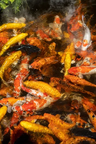 Hình nền phong thuỷ 16