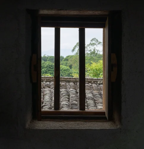Hình nền rừng 252