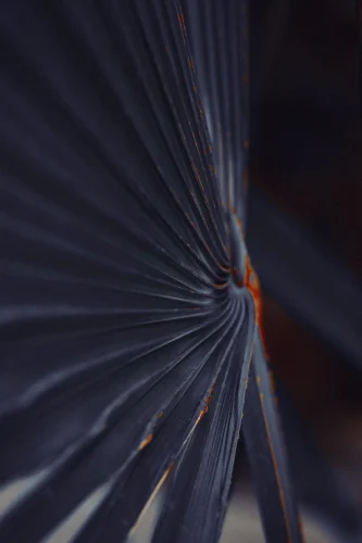 Hình nền Samsung 8