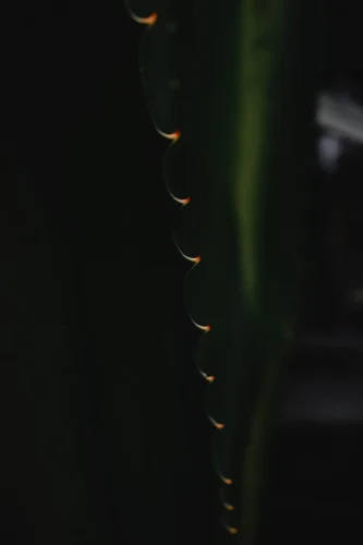 Hình nền Samsung 69