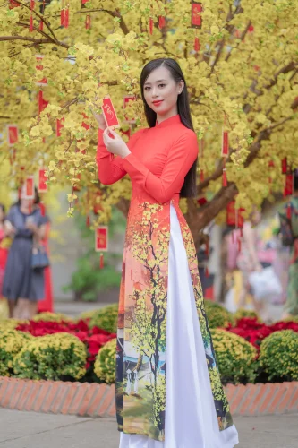 Hình nền Tết 5