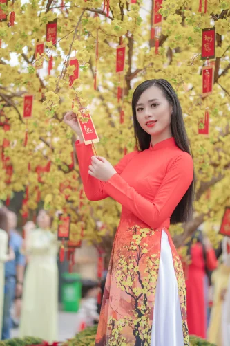 Hình nền Tết 12