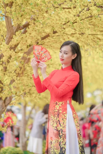 Hình nền Tết 14