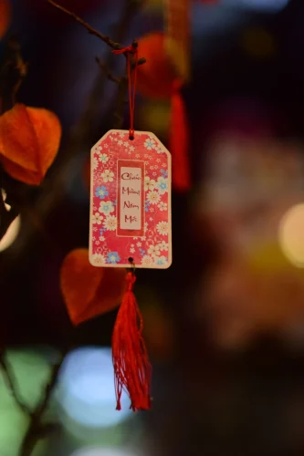 Hình nền Tết 44