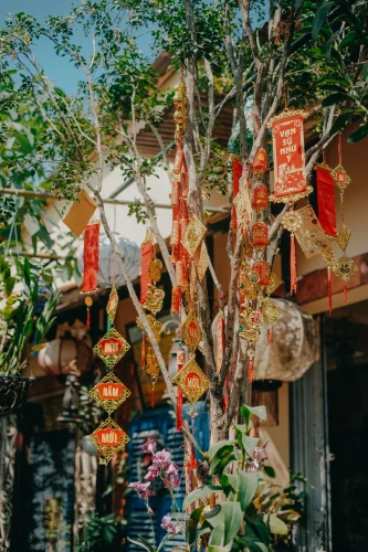 Hình nền Tết 62
