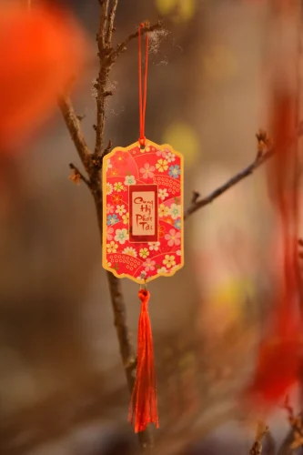Hình nền Tết 65