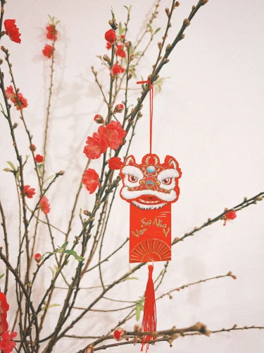 Hình nền Tết 101