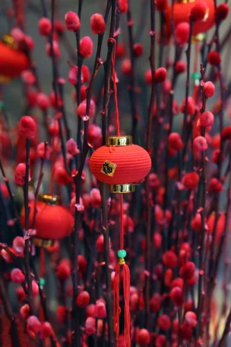 Hình nền Tết 105