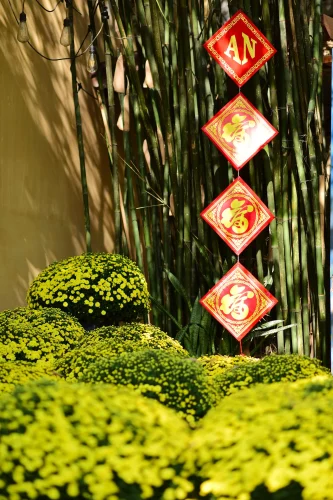 Hình nền Tết 127