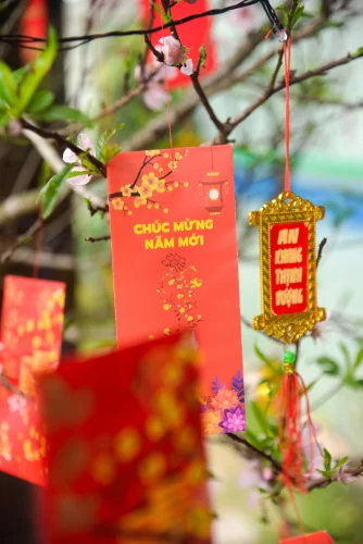 Hình nền Tết 133