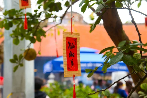 Hình nền Tết 49