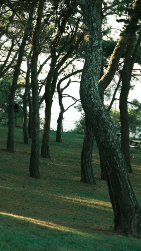 Hình nền thiên nhiên 35