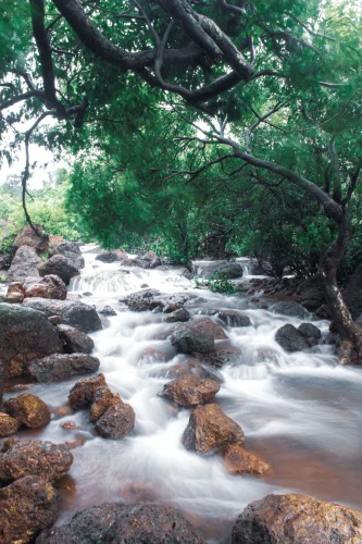 Hình nền thiên nhiên 57