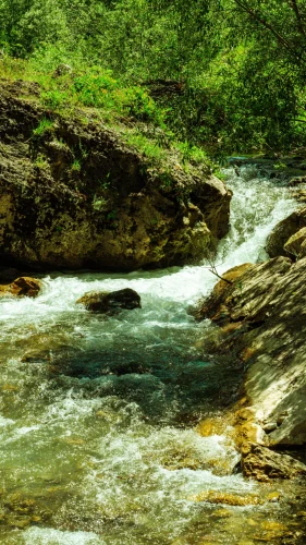 Hình nền thiên nhiên 110