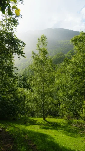 Hình nền thiên nhiên 113
