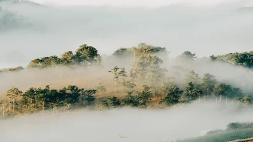Hình nền thiên nhiên 39