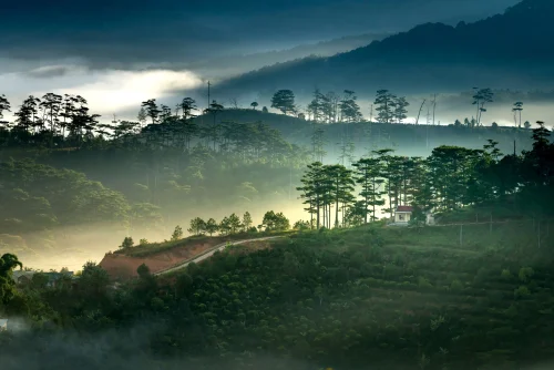 Hình nền thiên nhiên 40