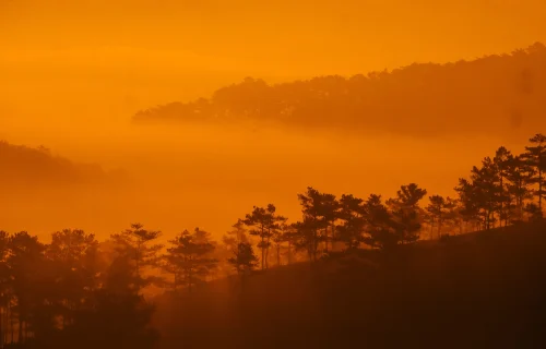 Hình nền thiên nhiên 48