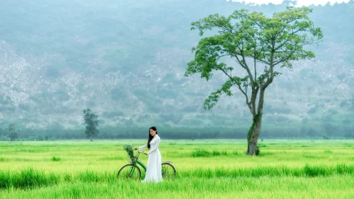 Hình nền thiên nhiên 53