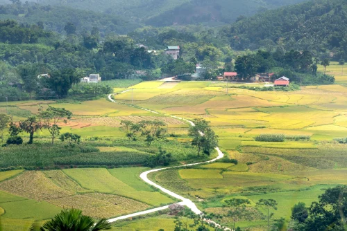 Hình nền thiên nhiên 61