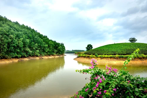 Hình nền thiên nhiên 62