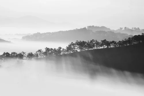Hình nền thiên nhiên 66