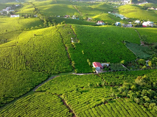 Hình nền thiên nhiên 68