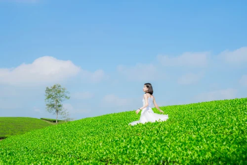 Hình nền thiên nhiên 70