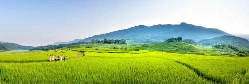 Hình nền thiên nhiên 76