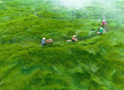 Hình nền thiên nhiên 77
