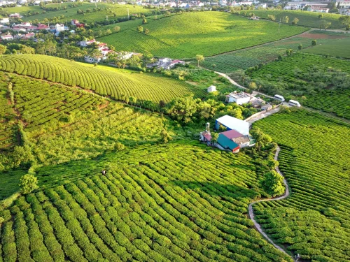 Hình nền thiên nhiên 88