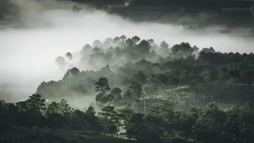 Hình nền thiên nhiên 94